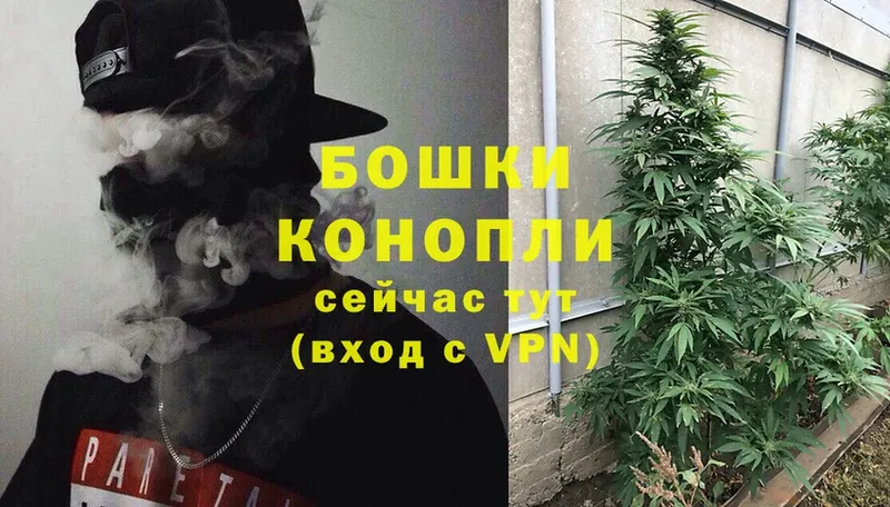 Канабис OG Kush  цены   мега tor  Салават 